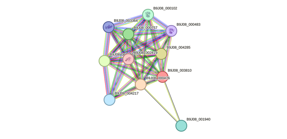 STRING protein interaction network