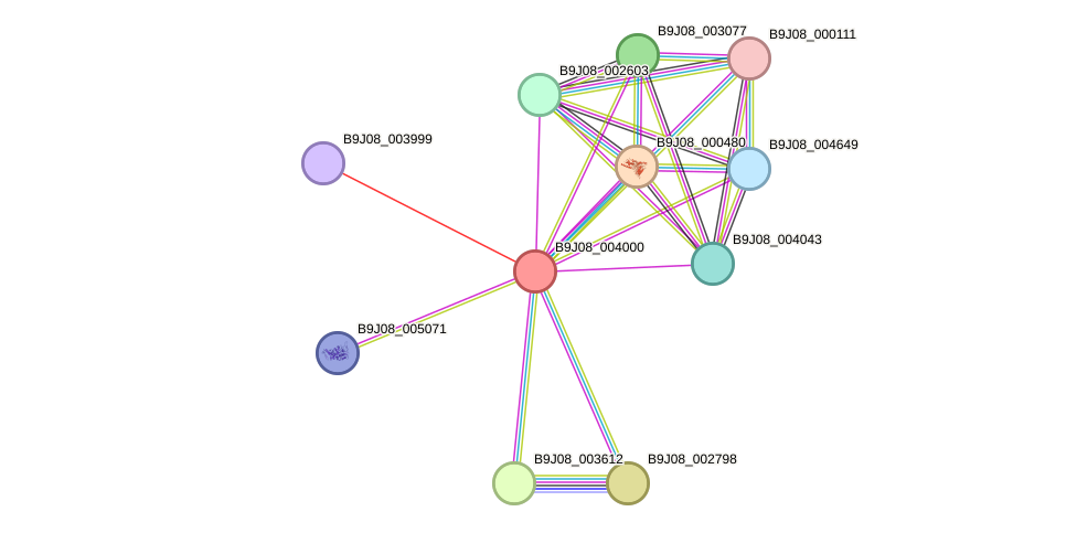 STRING protein interaction network