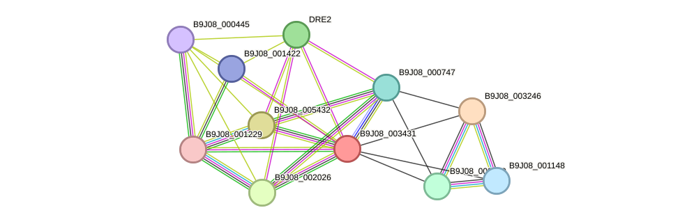 STRING protein interaction network