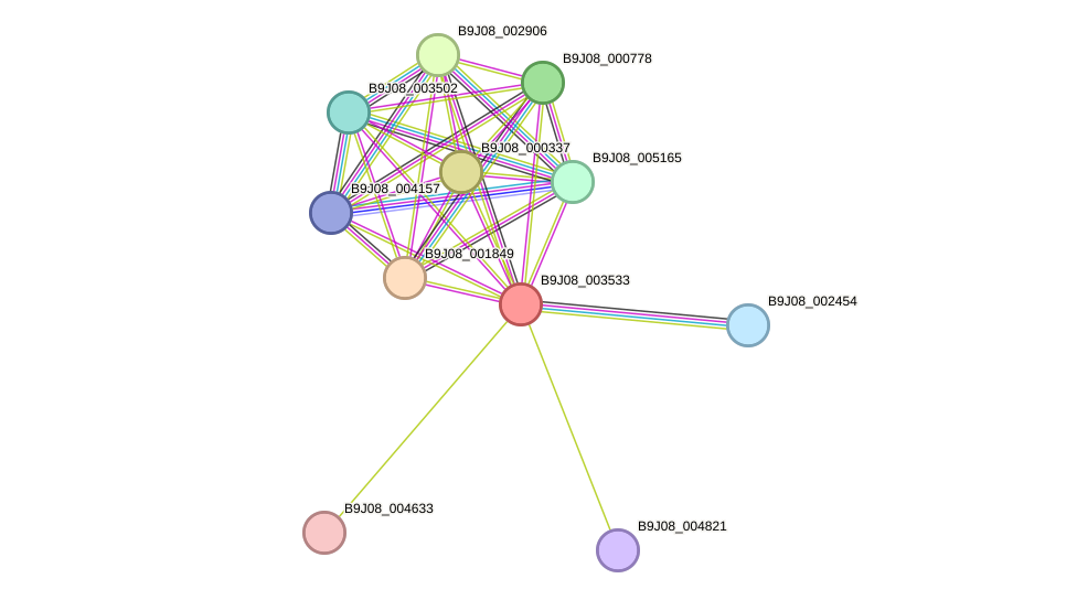 STRING protein interaction network