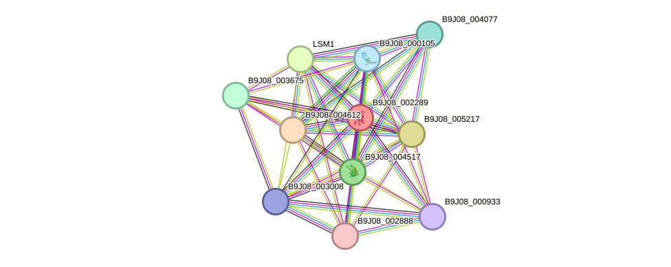 STRING protein interaction network