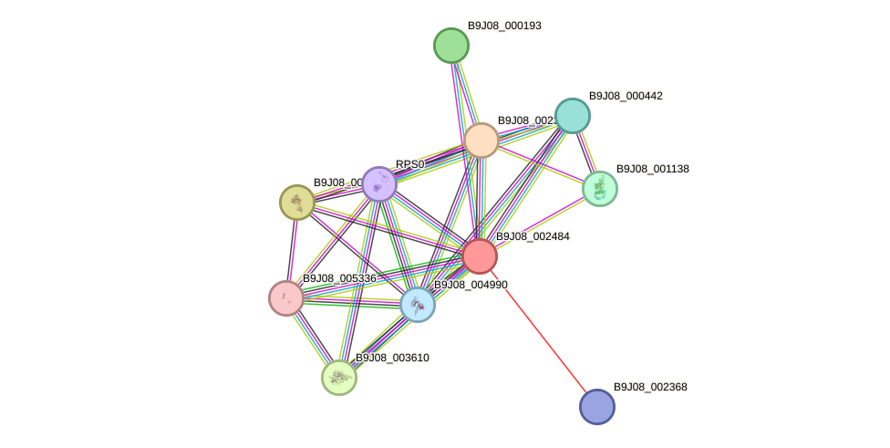 STRING protein interaction network