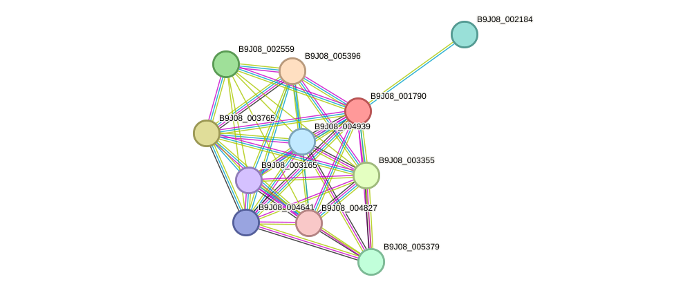 STRING protein interaction network