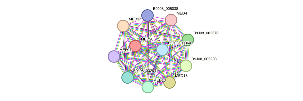 STRING protein interaction network