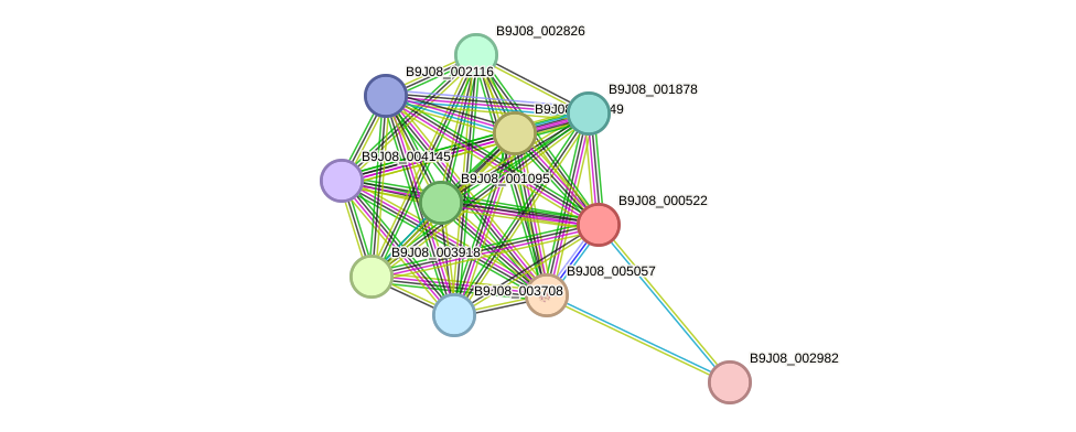 STRING protein interaction network