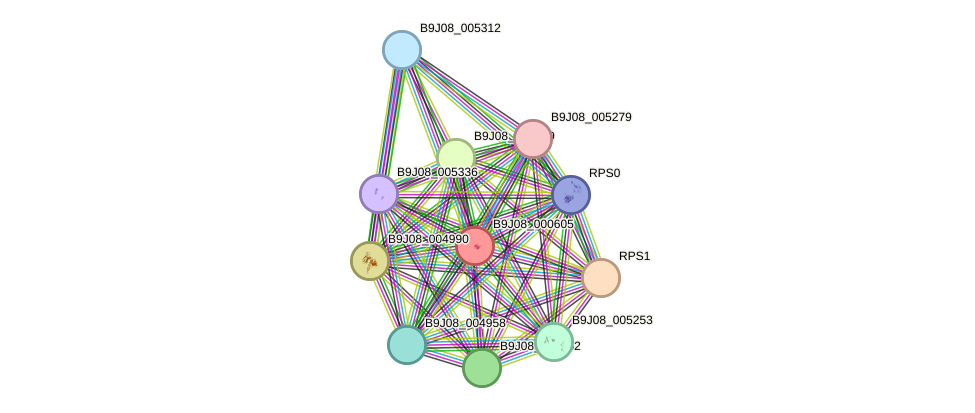 STRING protein interaction network