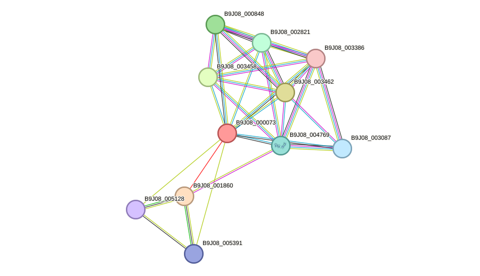 STRING protein interaction network