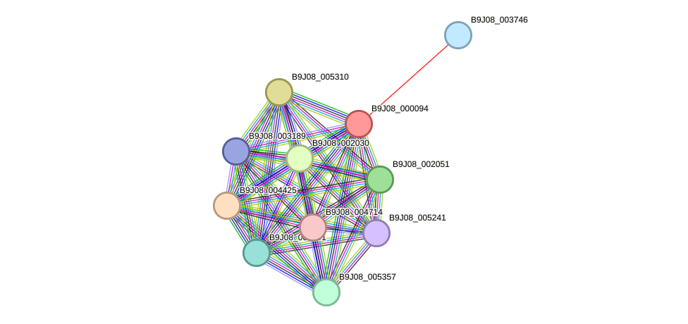 STRING protein interaction network