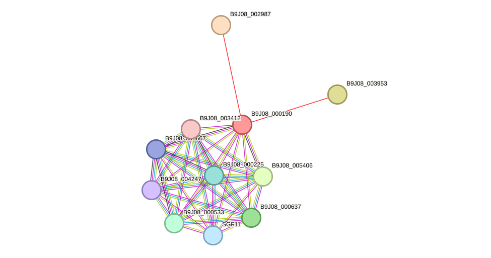 STRING protein interaction network