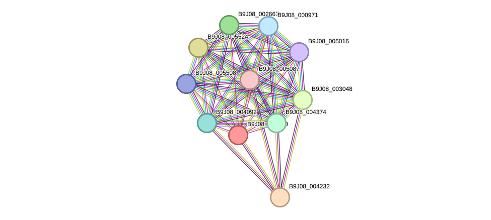 STRING protein interaction network