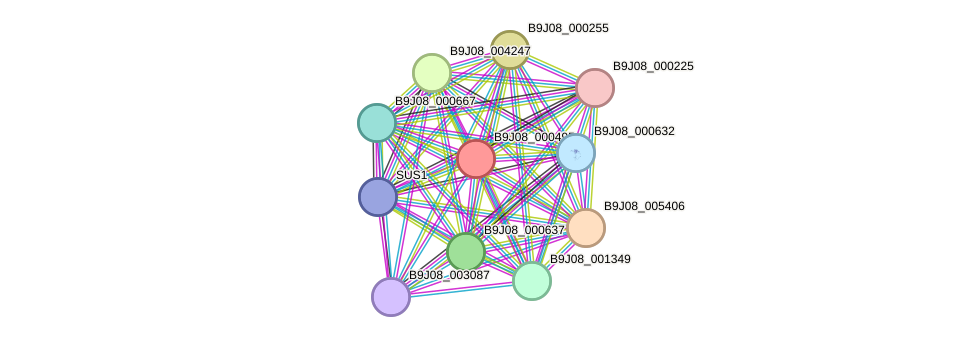 STRING protein interaction network