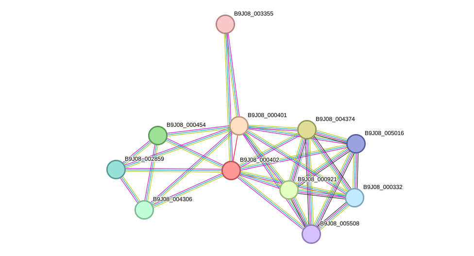 STRING protein interaction network