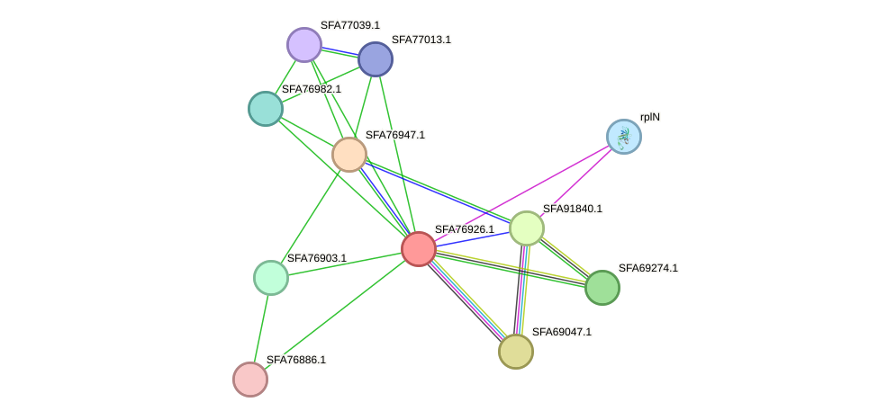 STRING protein interaction network