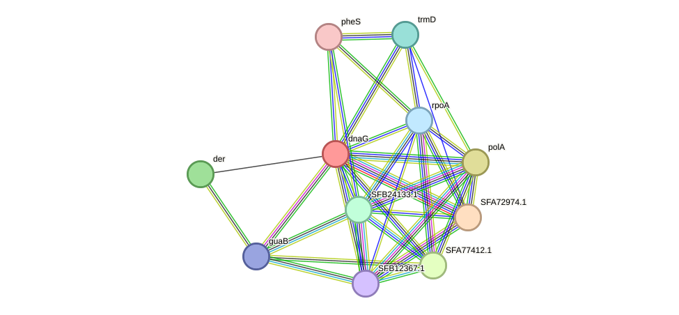 STRING protein interaction network