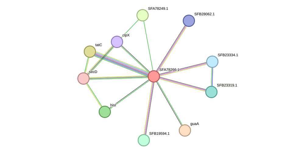 STRING protein interaction network