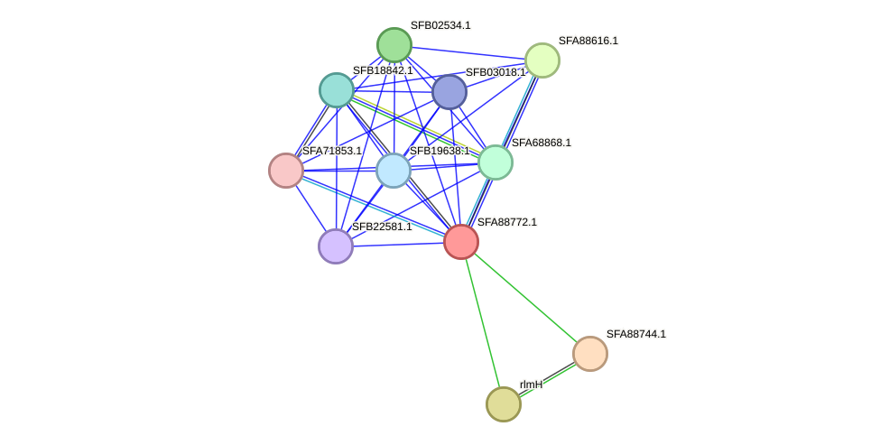 STRING protein interaction network