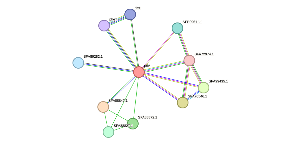 STRING protein interaction network