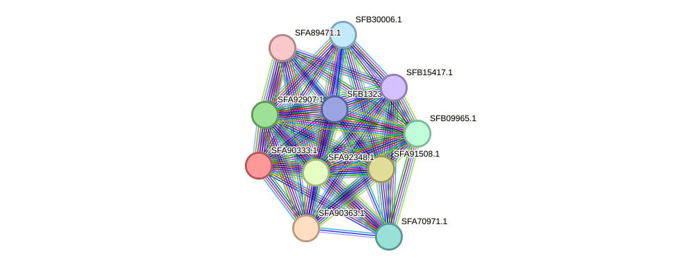 STRING protein interaction network