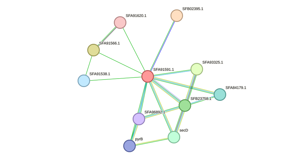 STRING protein interaction network