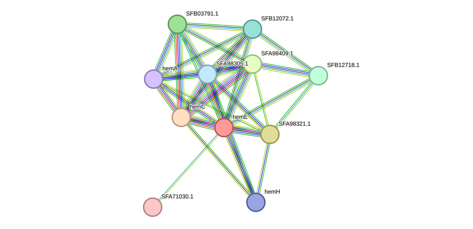 STRING protein interaction network