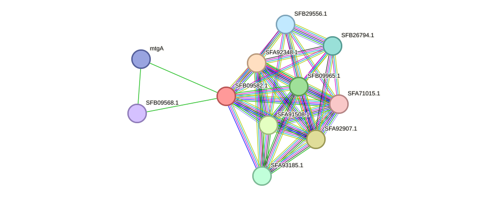 STRING protein interaction network