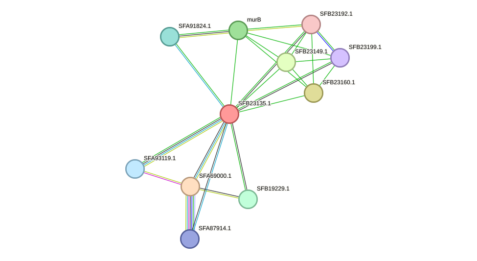 STRING protein interaction network