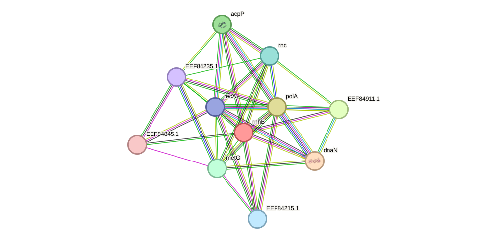 STRING protein interaction network