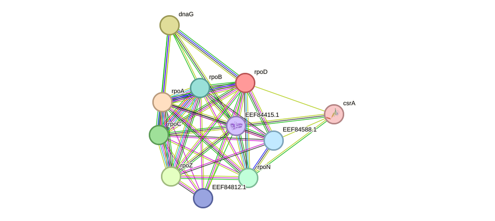 STRING protein interaction network