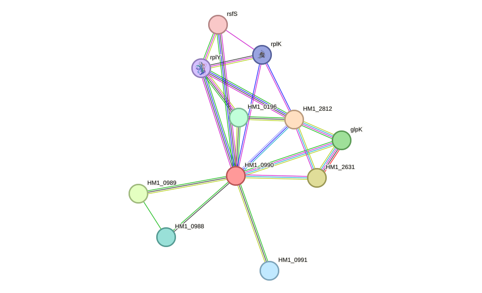 STRING protein interaction network