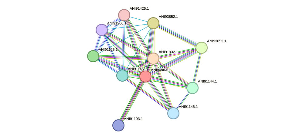 STRING protein interaction network