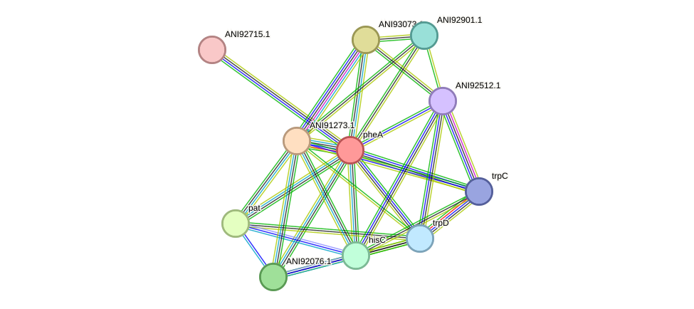 STRING protein interaction network