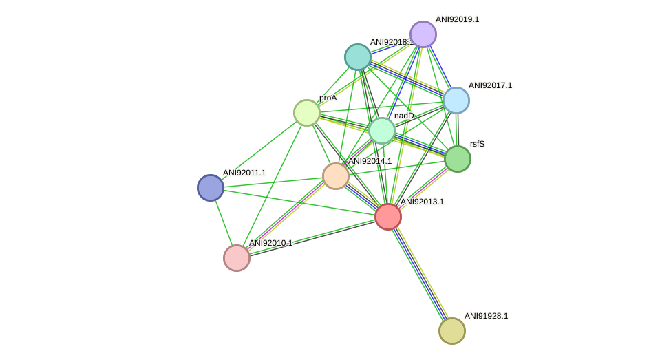 STRING protein interaction network