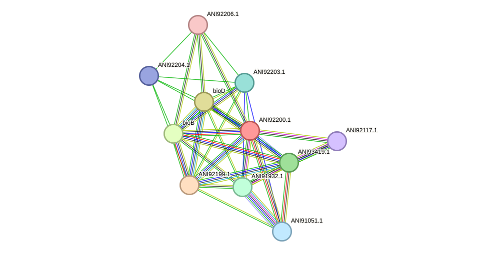 STRING protein interaction network