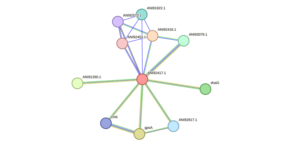 STRING protein interaction network