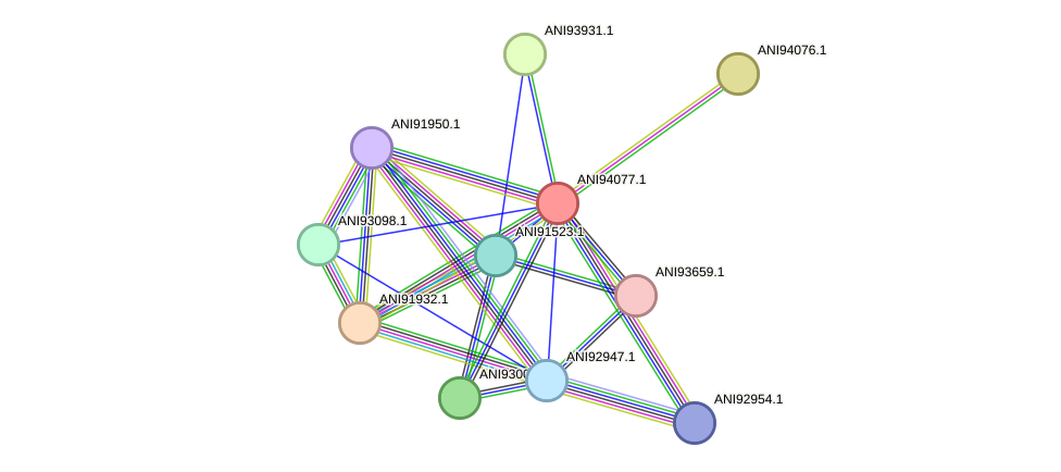 STRING protein interaction network