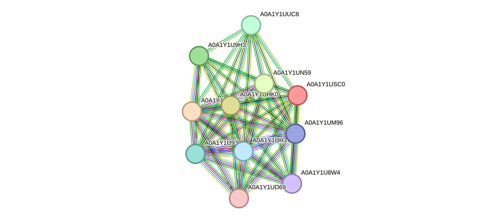 STRING protein interaction network