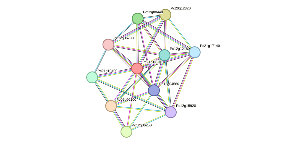 STRING protein interaction network