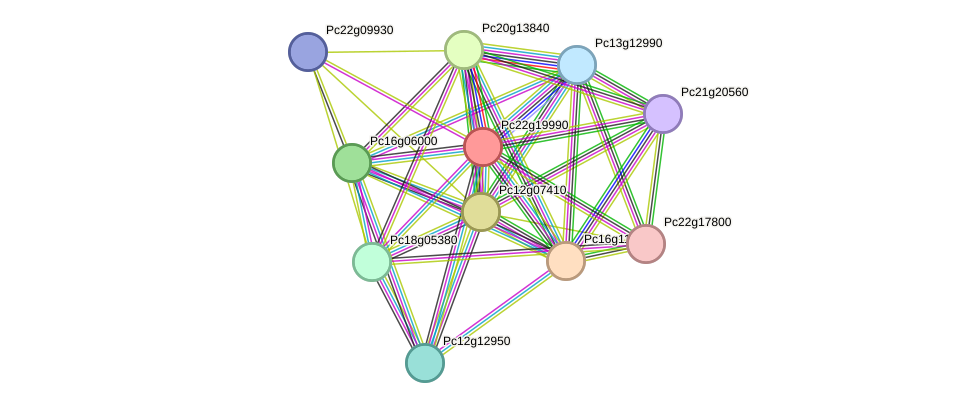 STRING protein interaction network