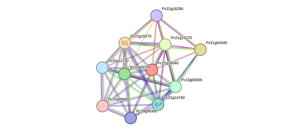 STRING protein interaction network