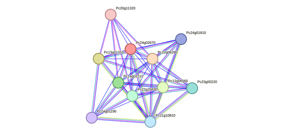 STRING protein interaction network