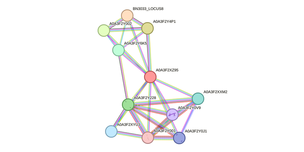 STRING protein interaction network