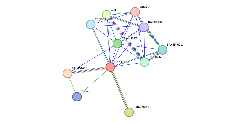 STRING protein interaction network