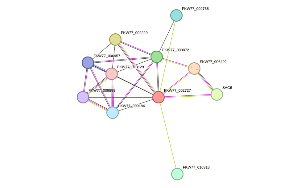 STRING protein interaction network