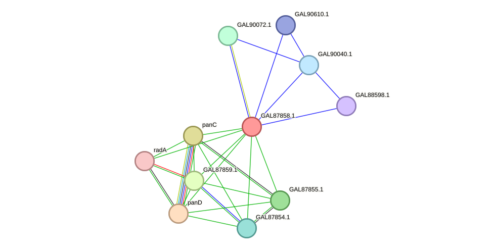 STRING protein interaction network