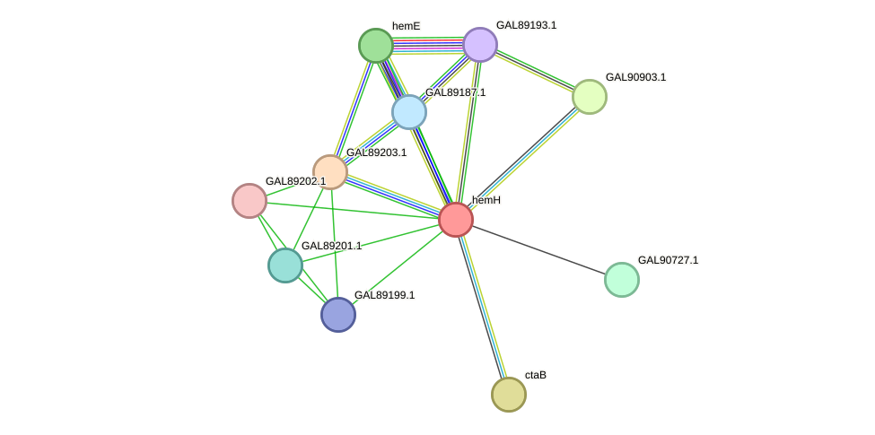 STRING protein interaction network