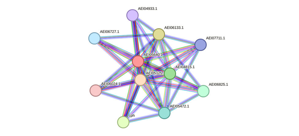 STRING protein interaction network