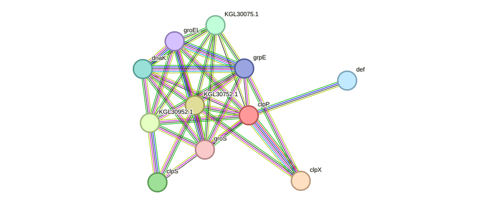STRING protein interaction network