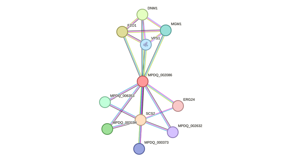 STRING protein interaction network