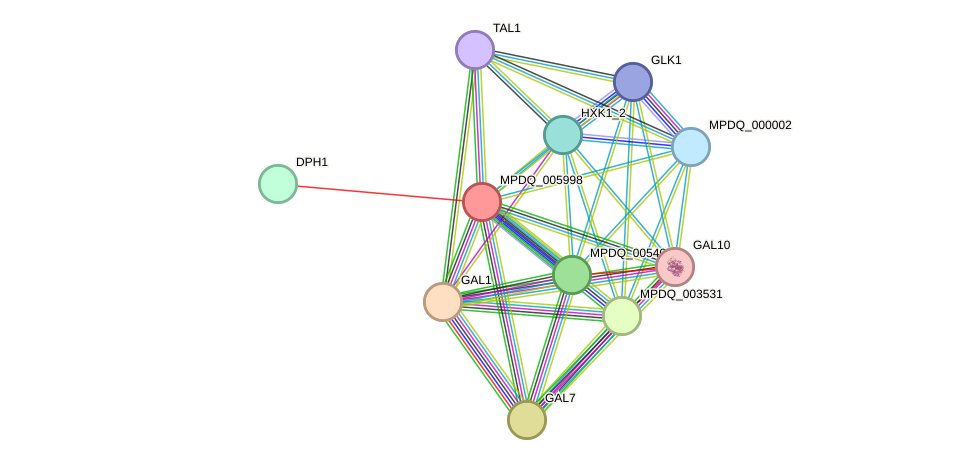 STRING protein interaction network