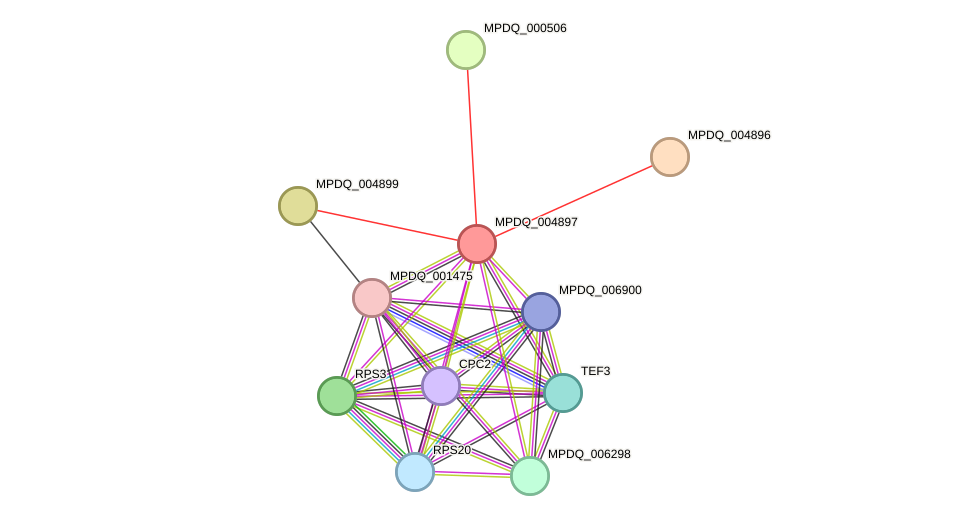 STRING protein interaction network